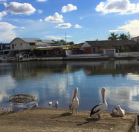 Pelican Cove Apartments - Australia Accommodation