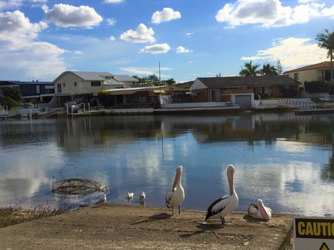 Pelican Cove Apartments - Australia Accommodation 0