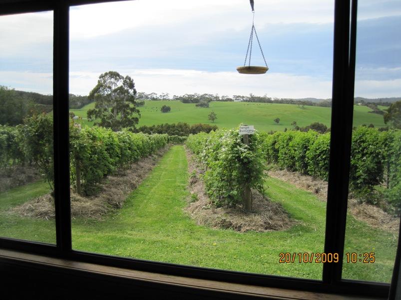 Barwon Downs ACT Australia Accommodation