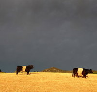 Peppertree Hill - Australia Accommodation