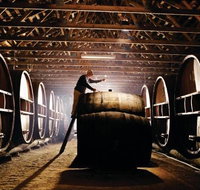 Pieter van Gent Winery  Vineyard - Australia Accommodation