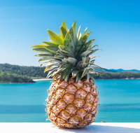 Pineapple House Whitsundays - Australia Accommodation