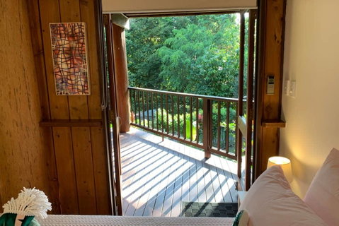 Private Rainforest Retreat With Lagoon Style Pool - Australia Accommodation 1