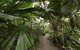 Rainforest Castaways Resort And Spa - thumb 1