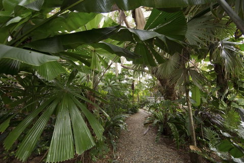 Rainforest Castaways Resort And Spa - Australia Accommodation 1