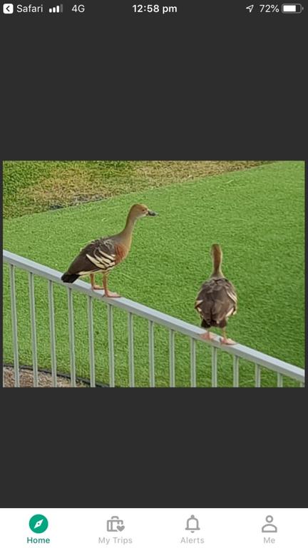 Resort Living - Australia Accommodation 3