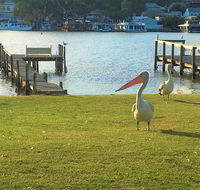 Riverfront Getaway - Mannum - Australia Accommodation