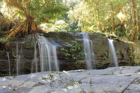 Salisbury Lodges - Australia Accommodation 1