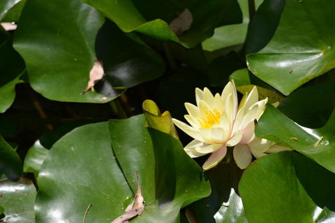 Salisbury Lodges - Australia Accommodation 3