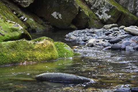 Salisbury Lodges - Australia Accommodation 2