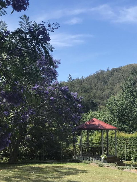 Serendipity On Allyn - Australia Accommodation 2