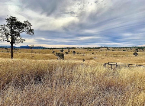 Skyline Farm House - Australia Accommodation 3