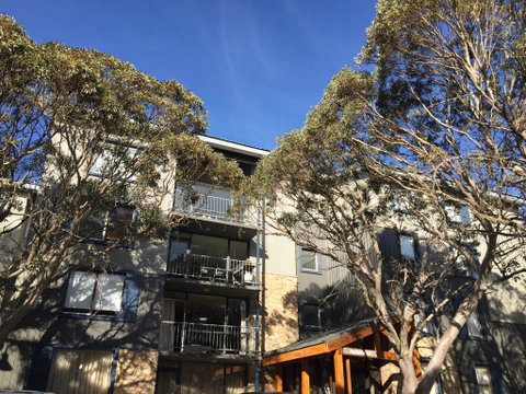 Snowflake 12 - Australia Accommodation 0