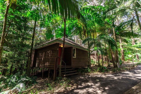 Songbirds Rainforest Retreat - Australia Accommodation 2