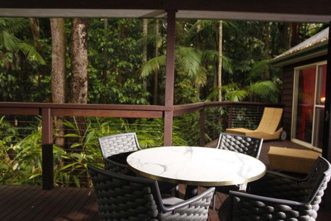 Songbirds Rainforest Retreat - Australia Accommodation 1