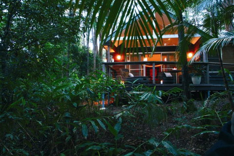 Songbirds Rainforest Retreat - Australia Accommodation 0