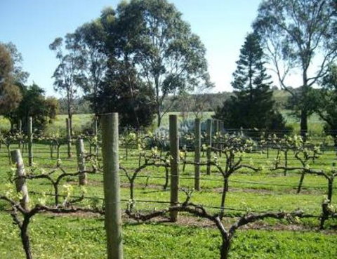 Southern Vales Bed & Breakfast - Australia Accommodation 1