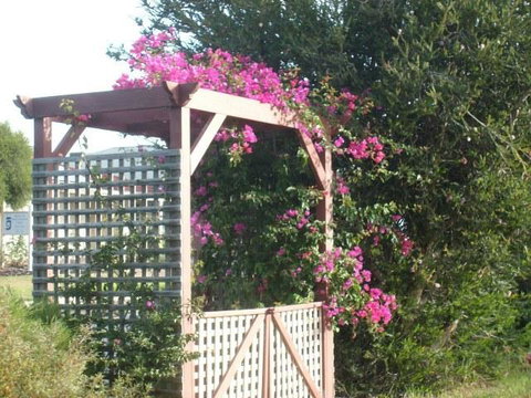 Southern Vales Bed & Breakfast - Australia Accommodation 3