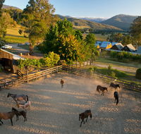Spring Spur - Australia Accommodation