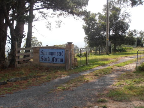 Springmead B&B - Australia Accommodation 2