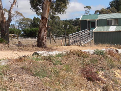 Springmead Rustic Cabin - Australia Accommodation 1