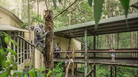 Springwood Meditation Centre - Australia Accommodation 0