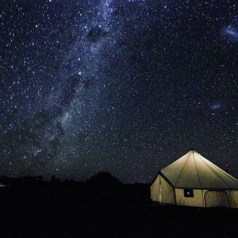 Starfields Luxury Camping - Australia Accommodation 3