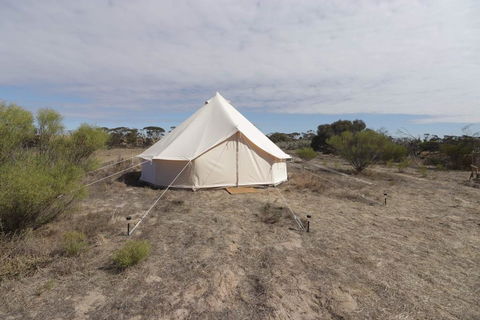Starfields Luxury Camping - Australia Accommodation 1