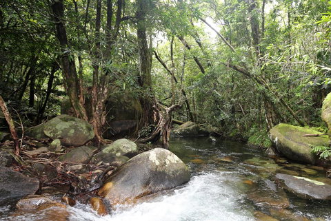 Stonewood Views - Australia Accommodation 1