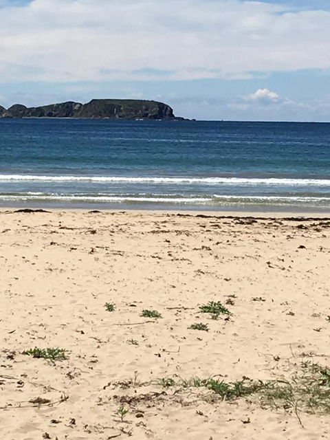 Surf Beach Holiday - Australia Accommodation 0