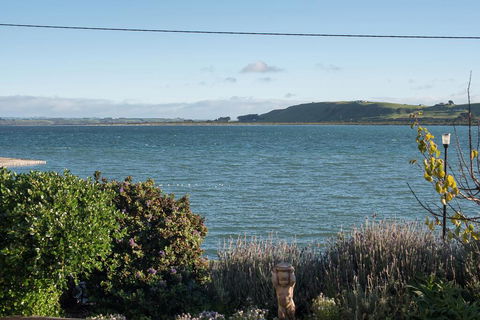 The Ark Stanley Luxury Bed And Breakfast - Australia Accommodation 1