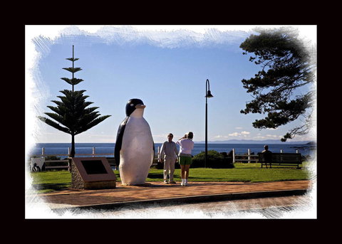 Penguin Beachfront Apartments - Australia Accommodation 13