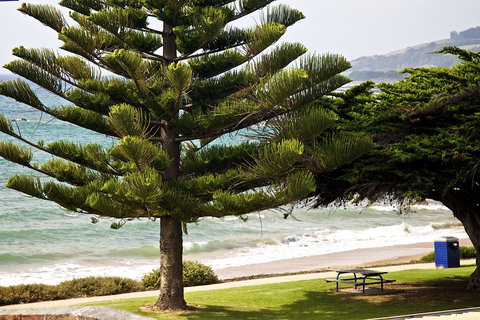 Penguin Beachfront Apartments - Australia Accommodation 9
