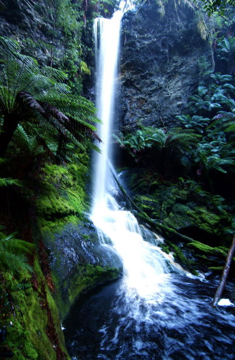 Corinna Wilderness Village - Australia Accommodation 40