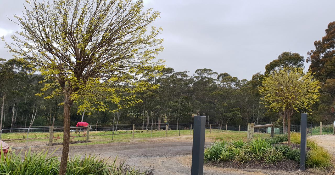  Australia Accommodation