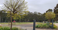 Book Lebrina Accommodation Vacations Australia Accommodation Australia Accommodation