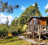 Southern Forest Accommodation - Australia Accommodation