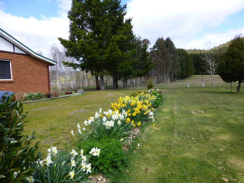 Quamby Pines Chalet - Australia Accommodation 19