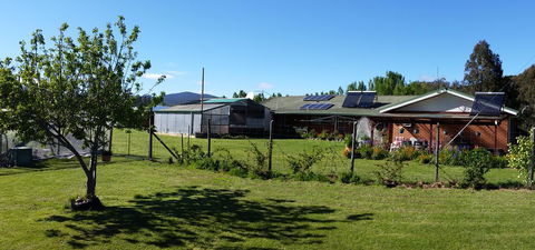 Quamby Pines Chalet - Australia Accommodation 1
