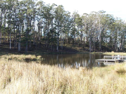 Quamby Pines Chalet - Australia Accommodation 14