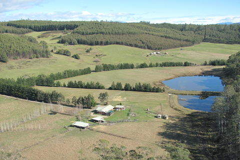 Quamby Pines Chalet - Australia Accommodation 7