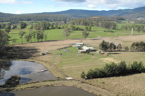 Quamby Pines Chalet - Australia Accommodation 9