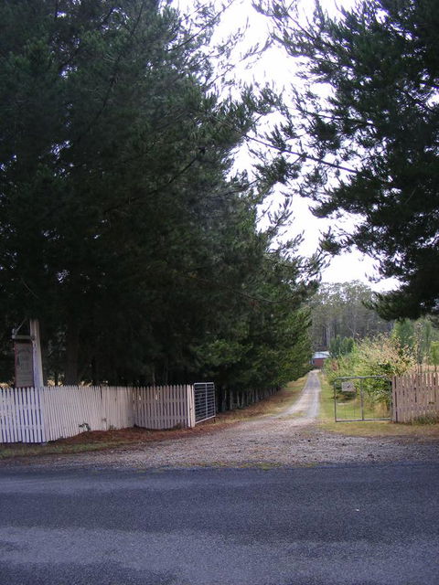 Quamby Pines Chalet - Australia Accommodation 2