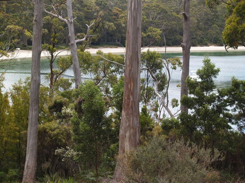 Stewarts Bay Lodge - Australia Accommodation 23