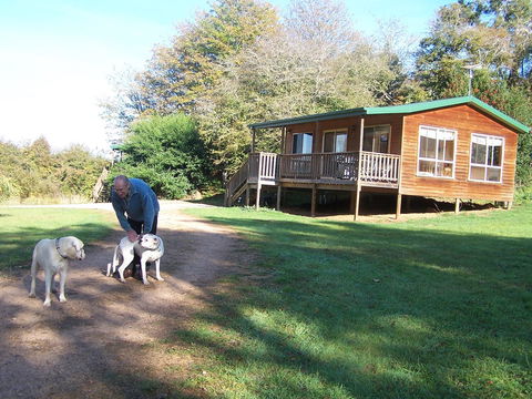 Drumreagh Cabins - Australia Accommodation 4