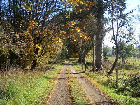 Drumreagh Cabins - Australia Accommodation 6
