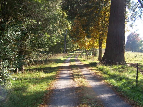 Drumreagh Cabins - Australia Accommodation 5