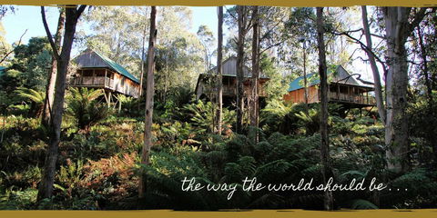 Lemonthyme Wilderness Retreat - Australia Accommodation 20