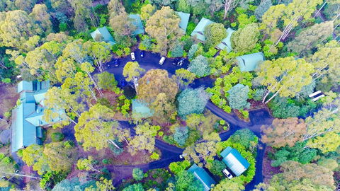 Lemonthyme Wilderness Retreat - Australia Accommodation 1