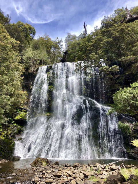 Lemonthyme Wilderness Retreat - Australia Accommodation 9